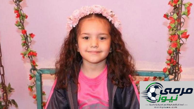 الجيش الإسرائيلي يؤكد أن جنوده أطلقوا النار على سيارة هند رجب ويفتح تحقيقاً