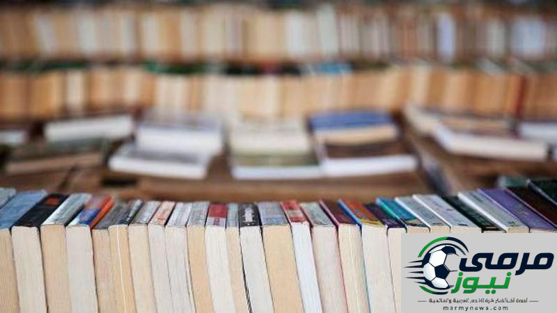 زيادة ملحوظة في مبيعات الكتب المستعملة: هل يعود السبب إلى الذكاء الاصطناعي؟